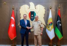 Turkey, Haftar, and Libya: From Proxy War to Competitive Diplomacy/Alexandra Bajec/INKSTICK